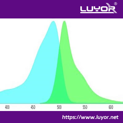 GFP和YFP熒光蛋白激發(fā)光源可以共用么？